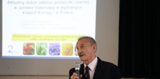 Najpopularniejsze odmiany czarnej porzeczki – co wybrać? Najpopularniejsze odmiany czarnej porzeczki