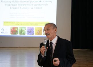 Najpopularniejsze odmiany czarnej porzeczki – co wybrać? Najpopularniejsze odmiany czarnej porzeczki