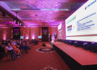 Jest wiele wyzwań ale też dobre perspektywy dla deserowych truskawek i malin