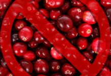 18 ton żurawiny z Rosji zatrzymane przez IJHARS 18 ton żurawiny z Rosji zatrzymane przez IJHARS