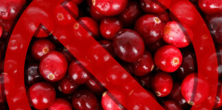 18 ton żurawiny z Rosji zatrzymane przez IJHARS 18 ton żurawiny z Rosji zatrzymane przez IJHARS