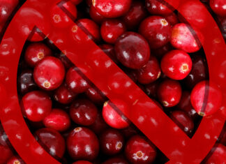 18 ton żurawiny z Rosji zatrzymane przez IJHARS 18 ton żurawiny z Rosji zatrzymane przez IJHARS