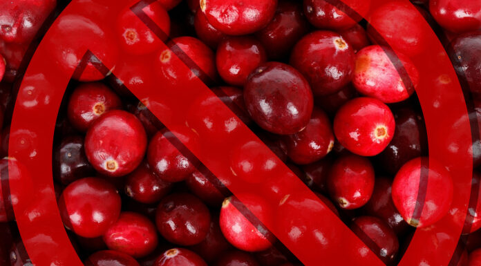 18 ton żurawiny z Rosji zatrzymane przez IJHARS 18 ton żurawiny z Rosji zatrzymane przez IJHARS