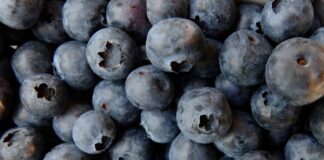 Owoce jagodowe z Ukrainy pod lupą PIORIN. Czy są bezpieczne?