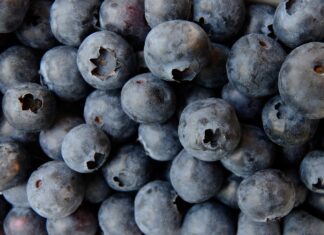 Owoce jagodowe z Ukrainy pod lupą PIORIN. Czy są bezpieczne?