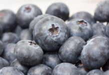 Słabsze zbiory w Afryce, Peru bije rekordy. Aktualna sytuacja na światowych rynkach