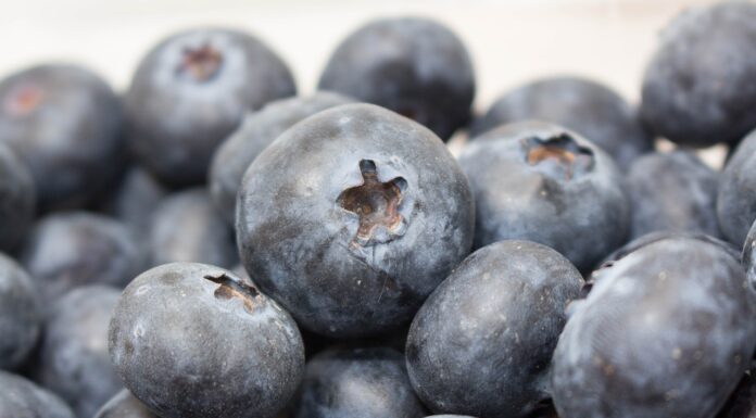 Słabsze zbiory w Afryce, Peru bije rekordy. Aktualna sytuacja na światowych rynkach