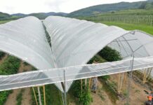 Tunele dla malin w sadowniczej strefie