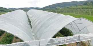 Tunele dla malin w sadowniczej strefie