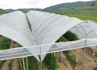 Tunele dla malin w sadowniczej strefie