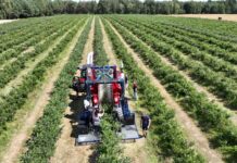 Dotacja na ochronę środowiska i klimatu. Kto otrzyma wsparcie?