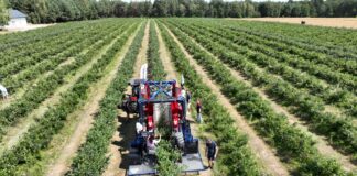 Dotacja na ochronę środowiska i klimatu. Kto otrzyma wsparcie?