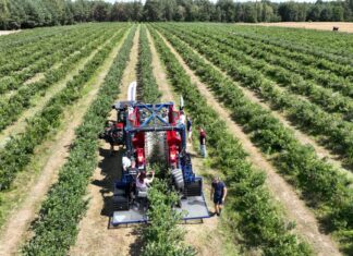 Dotacja na ochronę środowiska i klimatu. Kto otrzyma wsparcie?