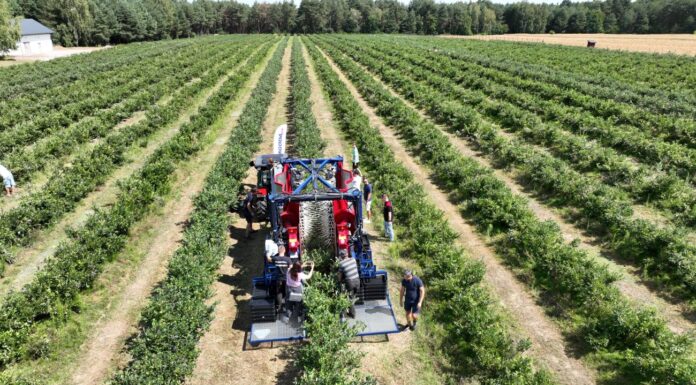 Dotacja na ochronę środowiska i klimatu. Kto otrzyma wsparcie?