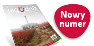 Jagodnik 1/2025 już w sprzedaży