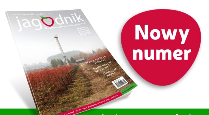 Jagodnik 1/2025 już w sprzedaży