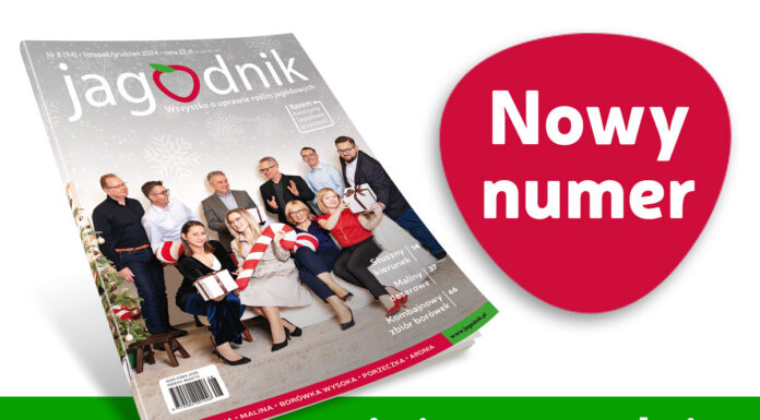 Jagodnik 8/2024 już w sprzedaży