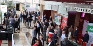 Nawozy i biostymulatory dla truskawek i malin