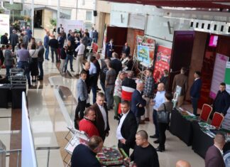 Nawozy i biostymulatory dla truskawek i malin