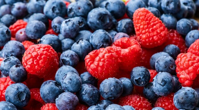 Europejscy producenci łączą siły. Będą wspólnie promować owoce jagodowe Owoce jagodowe