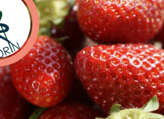 PIORiN ostrzega przed nowym patogenem w truskawkach