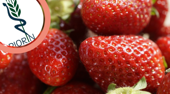 PIORiN ostrzega przed nowym patogenem w truskawkach