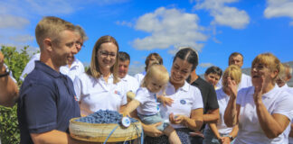 40 milionów krzewów i 60 mln kilogramów rocznie. Plantatorzy borówki mają powody do dumy