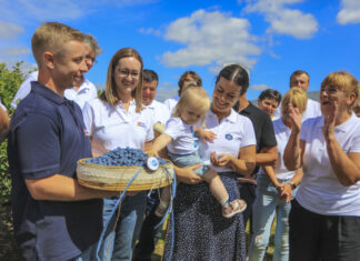 40 milionów krzewów i 60 mln kilogramów rocznie. Plantatorzy borówki mają powody do dumy