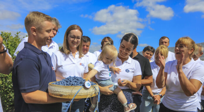 40 milionów krzewów i 60 mln kilogramów rocznie. Plantatorzy borówki mają powody do dumy