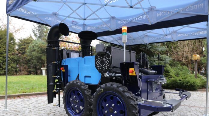 Innowacje w ochronie porzeczek