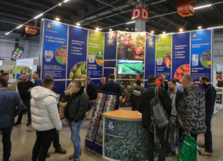 TSW 2025. Dojazd, parkingi i ważne wydarzenia dla jagodowych plantatorów