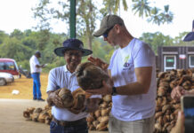 Podłoża kokosowe dla jagodowych. Dlaczego buforowanie jest takie ważne?