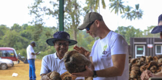 Podłoża kokosowe dla jagodowych. Dlaczego buforowanie jest takie ważne?