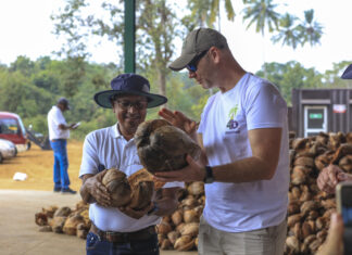 Podłoża kokosowe dla jagodowych. Dlaczego buforowanie jest takie ważne?