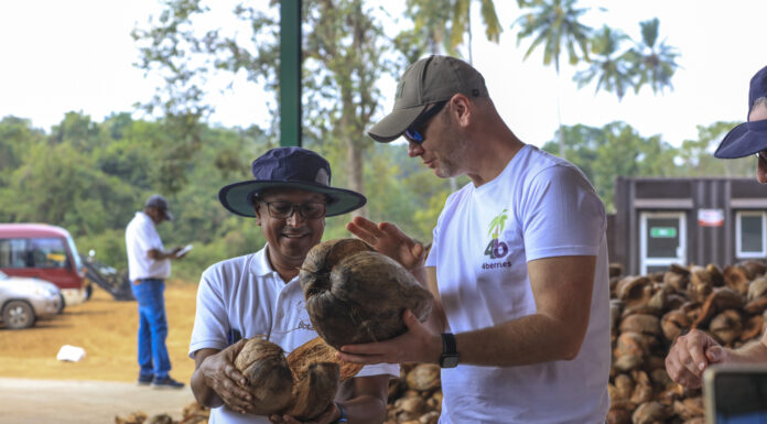 Podłoża kokosowe dla jagodowych. Dlaczego buforowanie jest takie ważne?