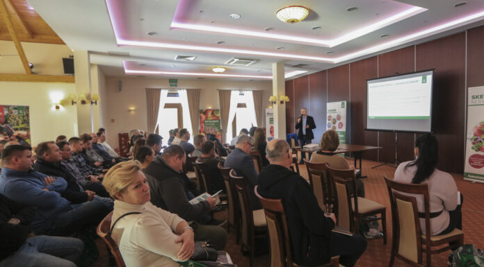 Chwasty, szkodniki i nawożenie truskawek