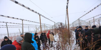 Cięcie borówki w praktyce