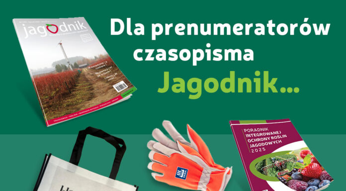 Nagrody dla obecnych i przyszłych prenumeratorów „Jagodnika” na targach TSW 2025 (22-23 stycznia)