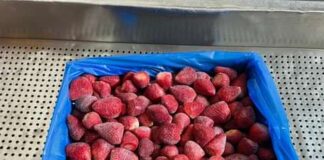Mrożone truskawki z Egiptu zalały polski rynek. Takich liczb nie notowano jeszcze nigdy mrożone truskawki, Egipt
