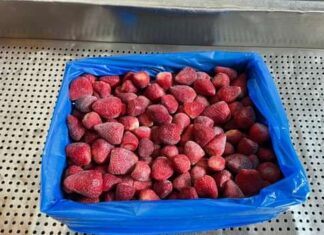 Mrożone truskawki z Egiptu zalały polski rynek. Takich liczb nie notowano jeszcze nigdy mrożone truskawki, Egipt