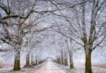 W lutym czeka nas powrót zimy. Nadciągają siarczyste mrozy