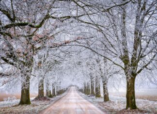 W lutym czeka nas powrót zimy. Nadciągają siarczyste mrozy