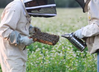 Potrzebna jest współpraca pszczelarzy i sadowników