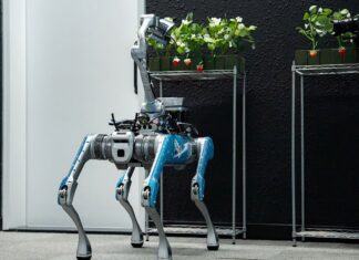 Robot do zbioru truskawek opracowany w Emiratach