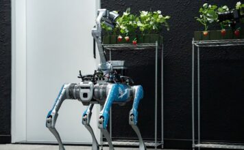 Robot do zbioru truskawek opracowany w Emiratach