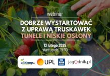 Dobry start w uprawie truskawek – zapraszamy na webinar!