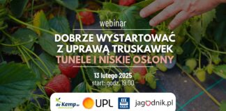 Dobry start w uprawie truskawek – zapraszamy na webinar!