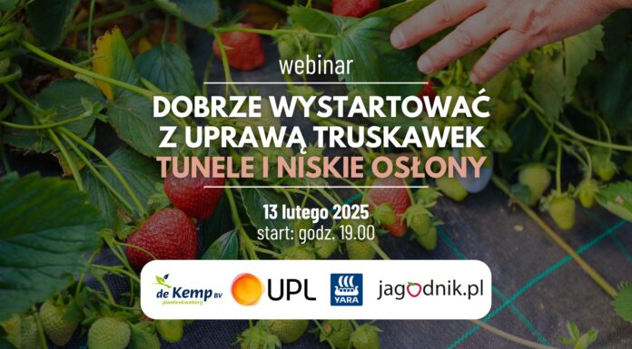 Dobry start w uprawie truskawek – zapraszamy na webinar!
