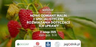 Nowe odmiany malin i specjalistyczne rozwiązania dotyczące ich uprawy – zapraszamy na webinar!
