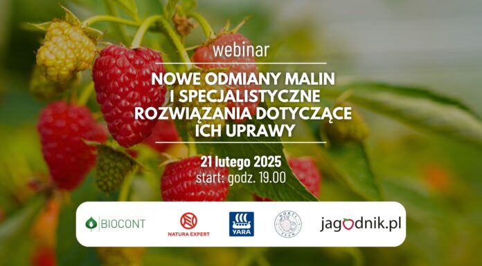 Nowe odmiany malin i specjalistyczne rozwiązania dotyczące ich uprawy – zapraszamy na webinar!